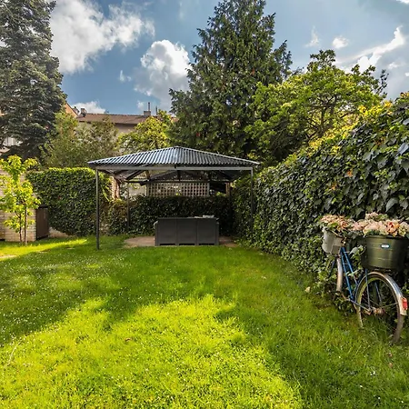 With Sunny Garden By Michal&friends